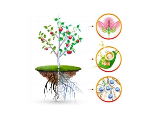 ASAHI 1L GROWTH stimulant REPAIR AFTER HAIL OF FROST PROFX. Manufacturer code 5907772514146