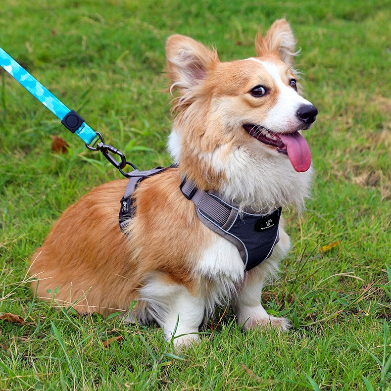 ASTRO NAVY BLUE R. S DOG TRAINING HARNESS FOR SMALL DOG Brand Gockowiak