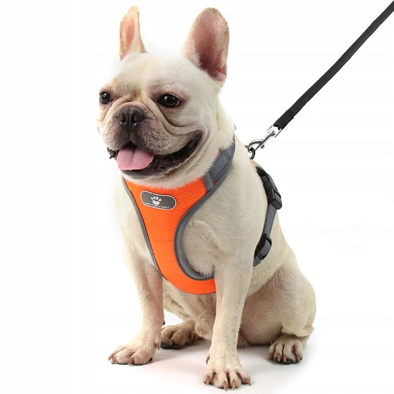 ASTRO Orange Dog Training Harness Size S