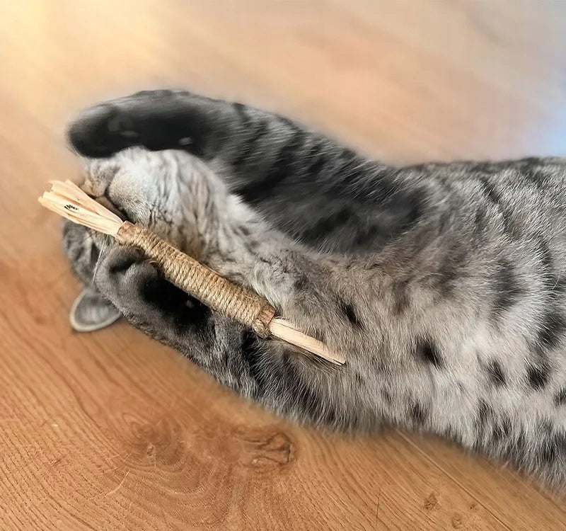 AUMÜLLER MATATABI stick with fruit natural cat toy teether cleans teeth Brand Aumüller