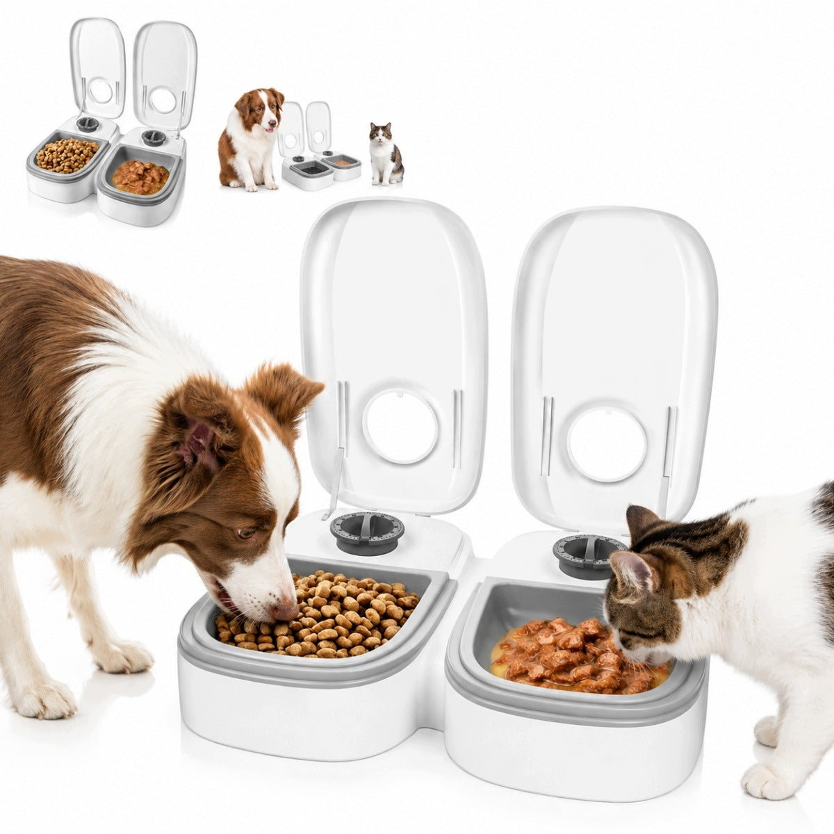 AUTOMATIC CAT DOG FOOD DISPENSER FEEDER