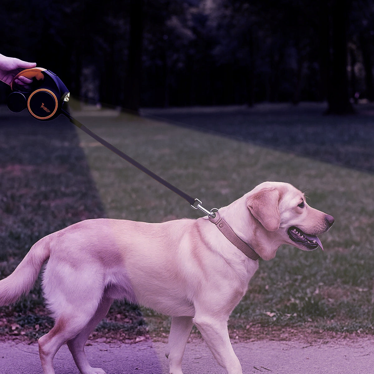 AUTOMATIC DOG LEASH 5M LED FLASHLIGHT CONTAINER BAGS STOP Manufacturer code 00025965