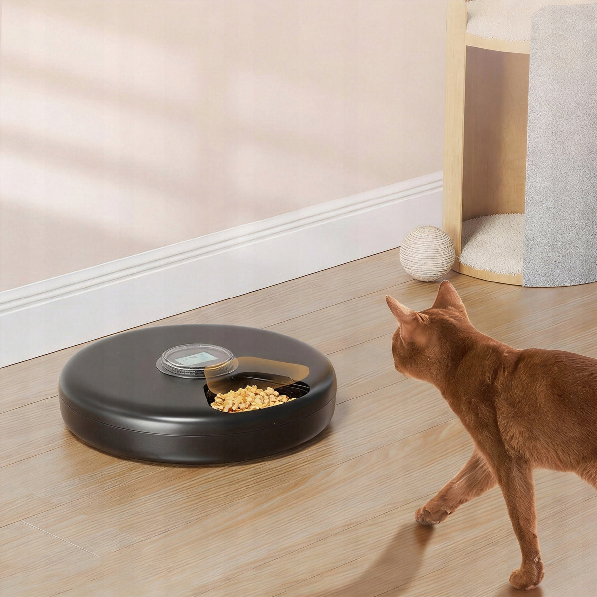 AUTOMATIC ELECTRONIC SMART PET FEEDER LCD 6 CHAMBERS Kind automatic feeder