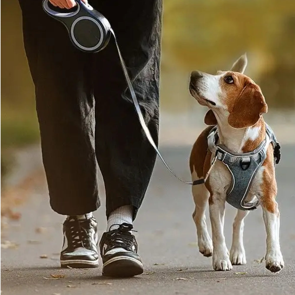 AUTOMATIC LEASH FOR DOG 5M LARGE SMALL WALKING STRONG LONG TAPE Trade name VELAN SMYCZ AUTOMATYCZNA SPACEROWA MOCNA DLA PSA ZWIJANA BLOKADA DŁUGA 5m 50kg