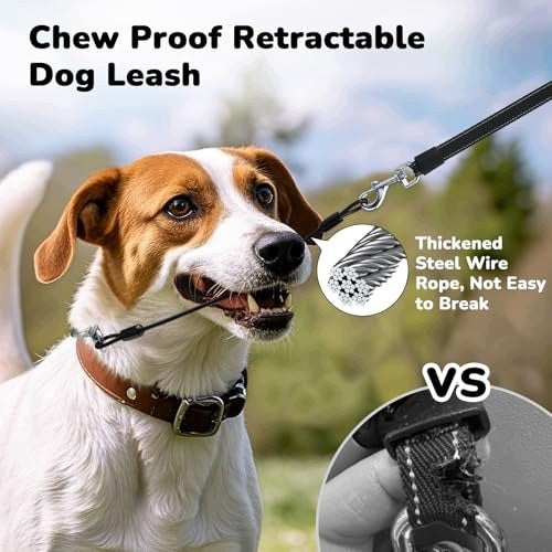 AUTOMATIC LEASH FOR DOGS 10 M TO 50 KG WITH BRAKE 360 Manufacturer code B0DRFFCC6H