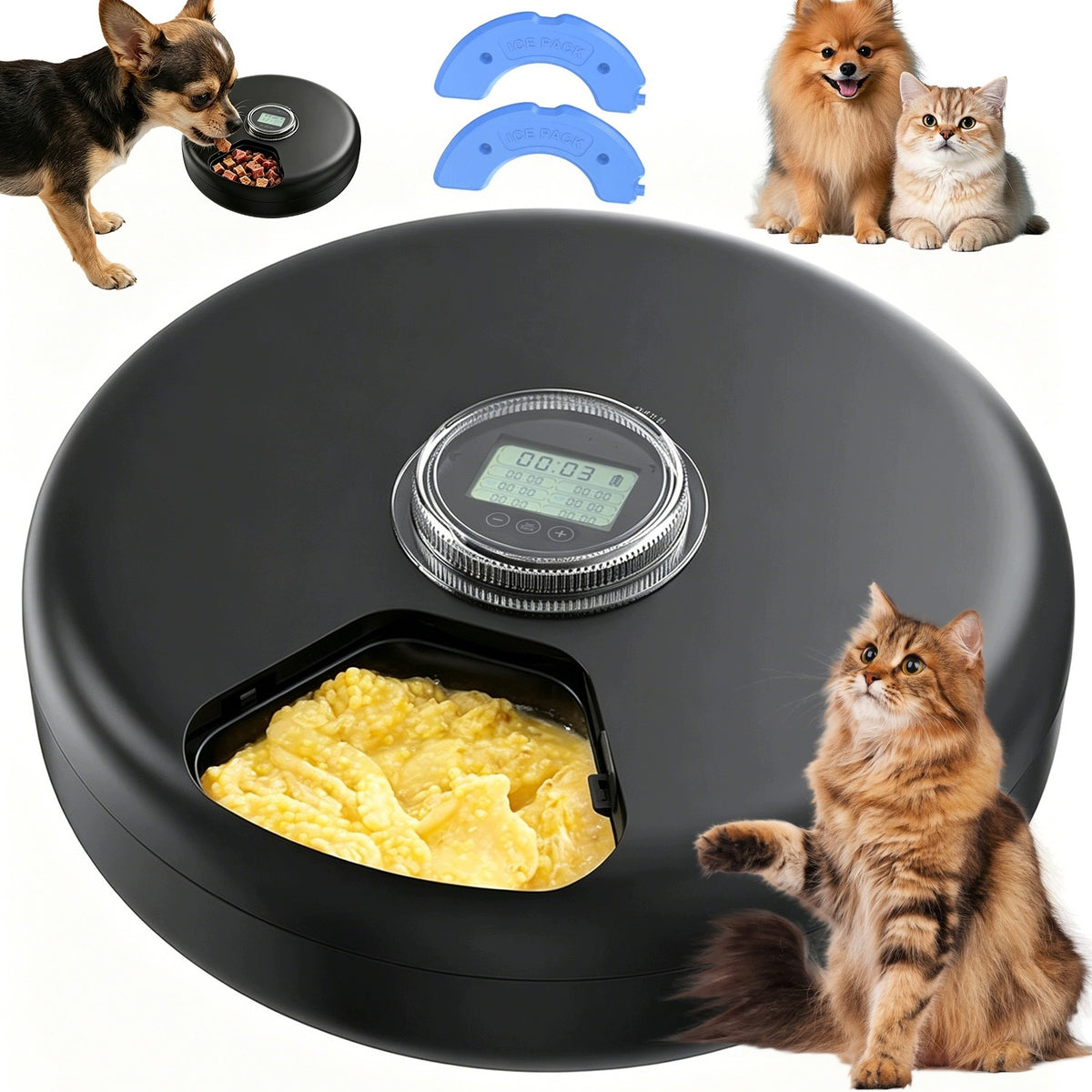 AUTOMATIC PET FOOD DISPENSER 6 SERVINGS BLACK 200ML BLACK