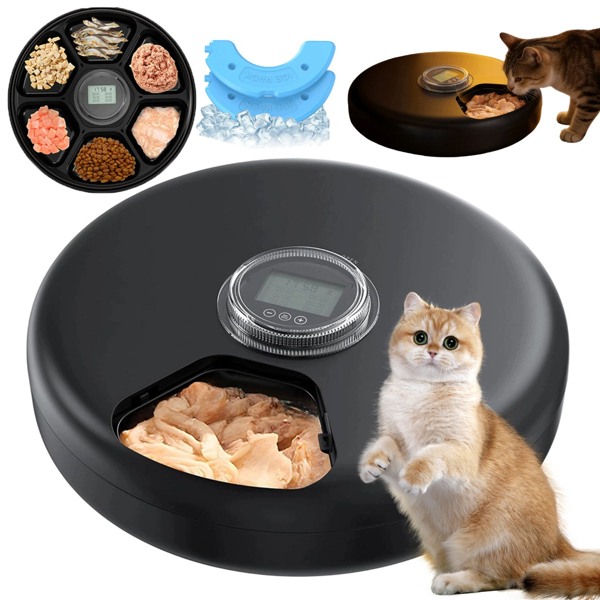 AUTOMATIC WET DOG FOOD DISPENSER SAFE FOR PETS