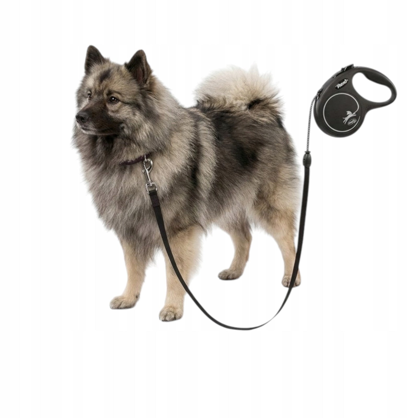 AUTOMATIC leash Flexi Black Design M FOR LARGER DOG UP TO 20 KG Color silver