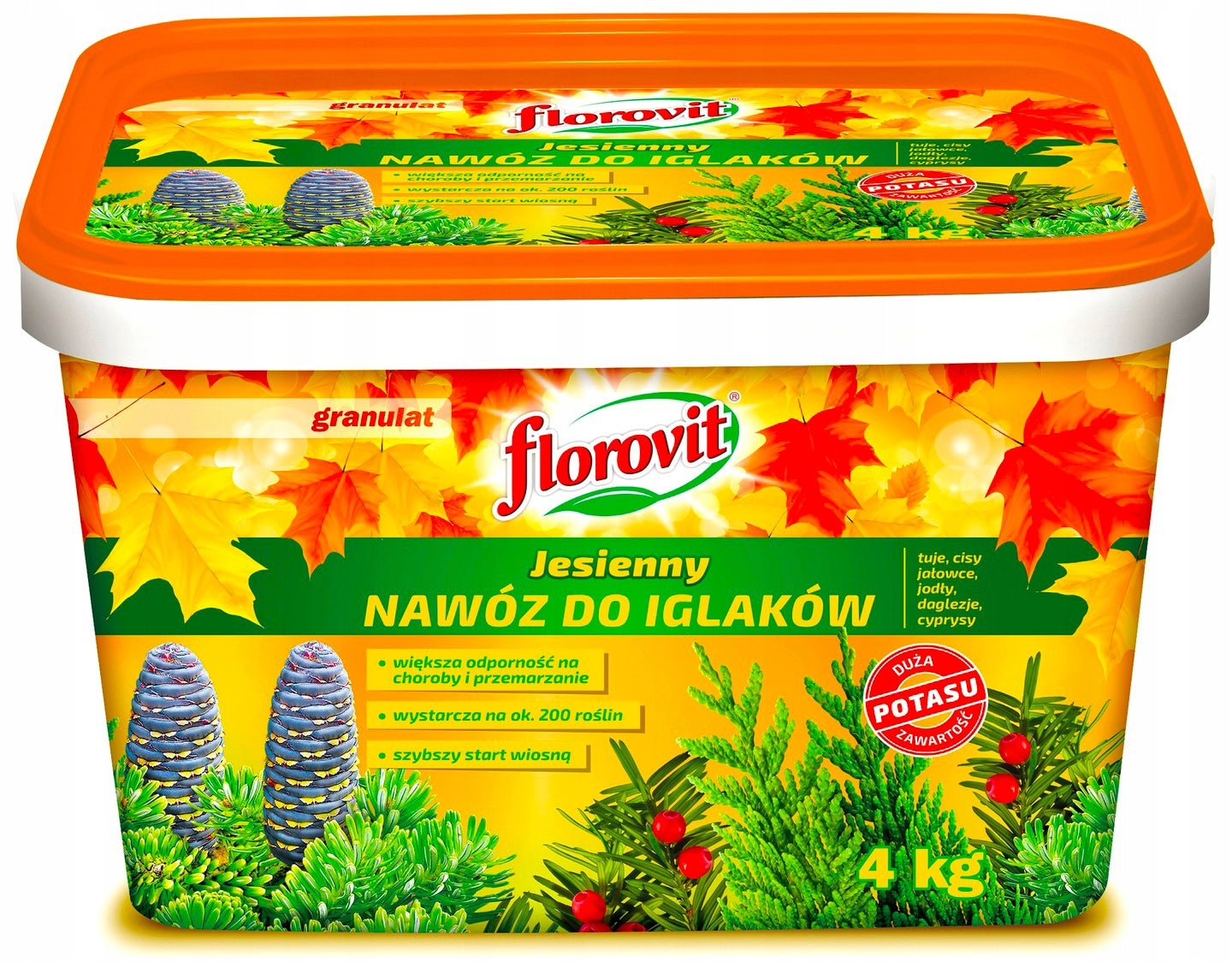 AUTUMN FERTILIZER FLOROVIT GRANULES FOR TUI TUJI THUI CYPRESS CONIFERS 4 KG Manufacturer Grupa Inco