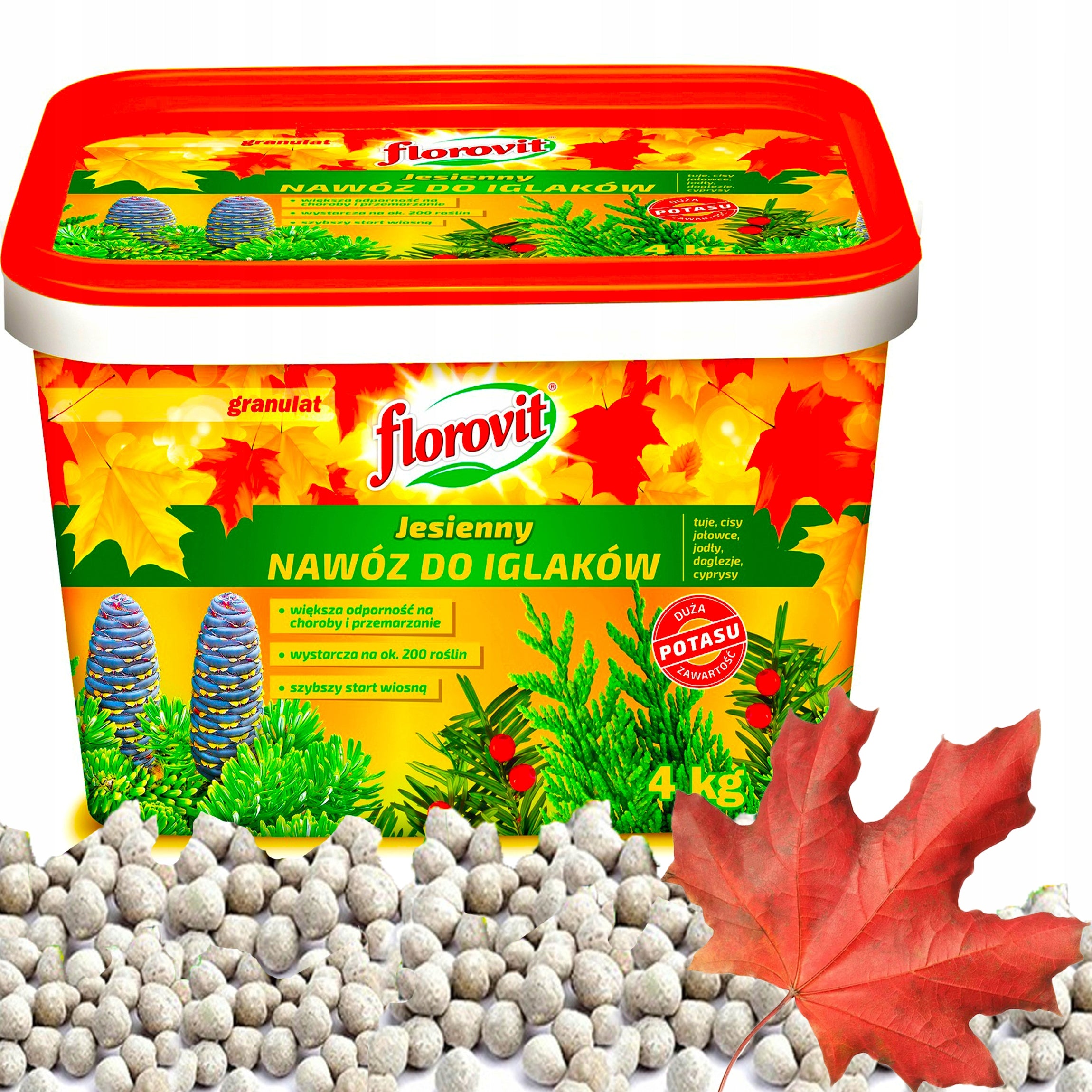AUTUMN FERTILIZER FLOROVIT GRANULES FOR TUI TUJI THUI CYPRESS CONIFERS 4 KG Manufacturer code 5900498016390