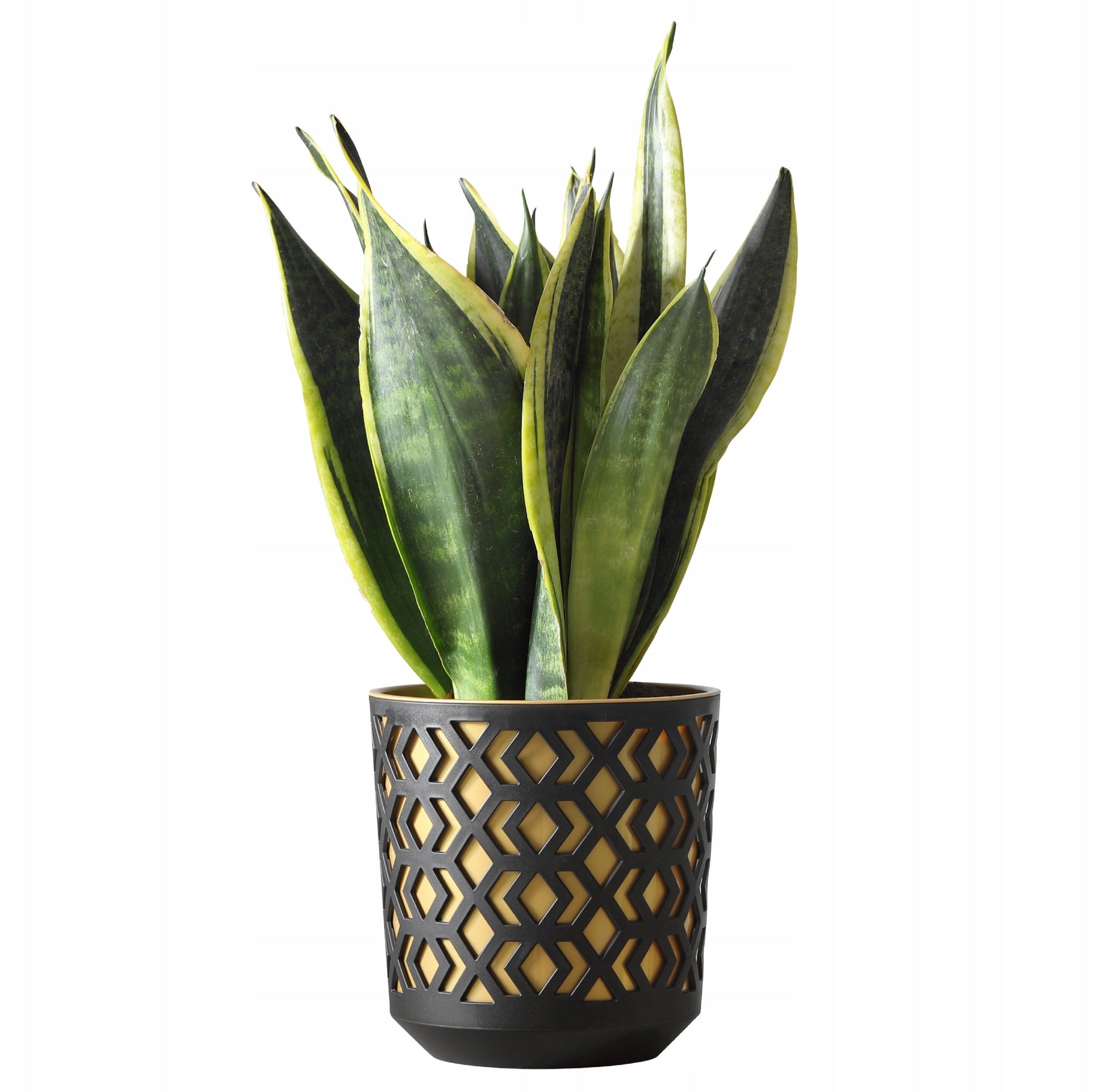 AZTEK flower pot 19.5 h20 k-Black + w-Golden Light Product height 20 cm