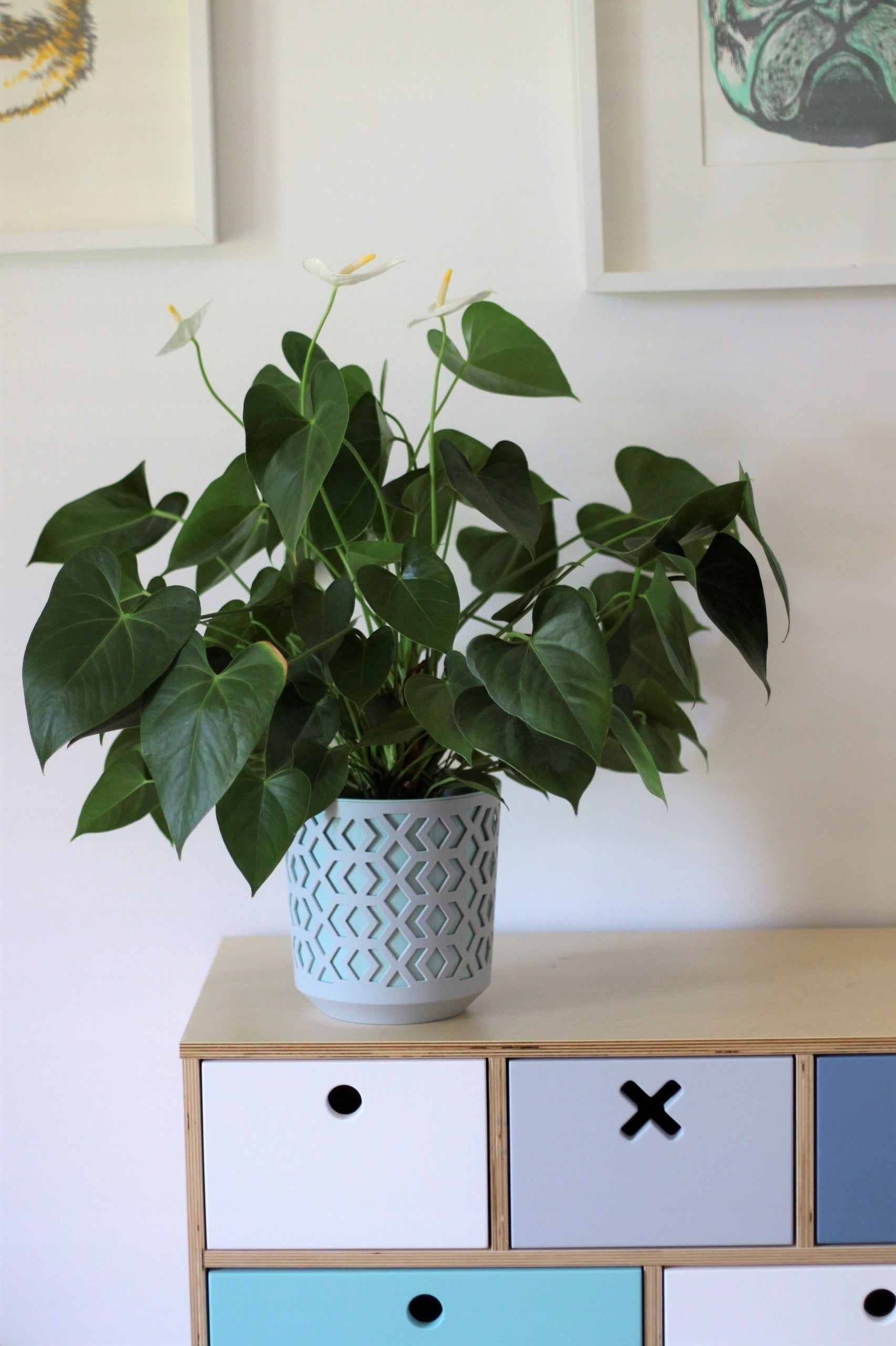 AZTEK flower pot 19.5 h20 k-Black + w-Golden Light Product width 19.5 cm