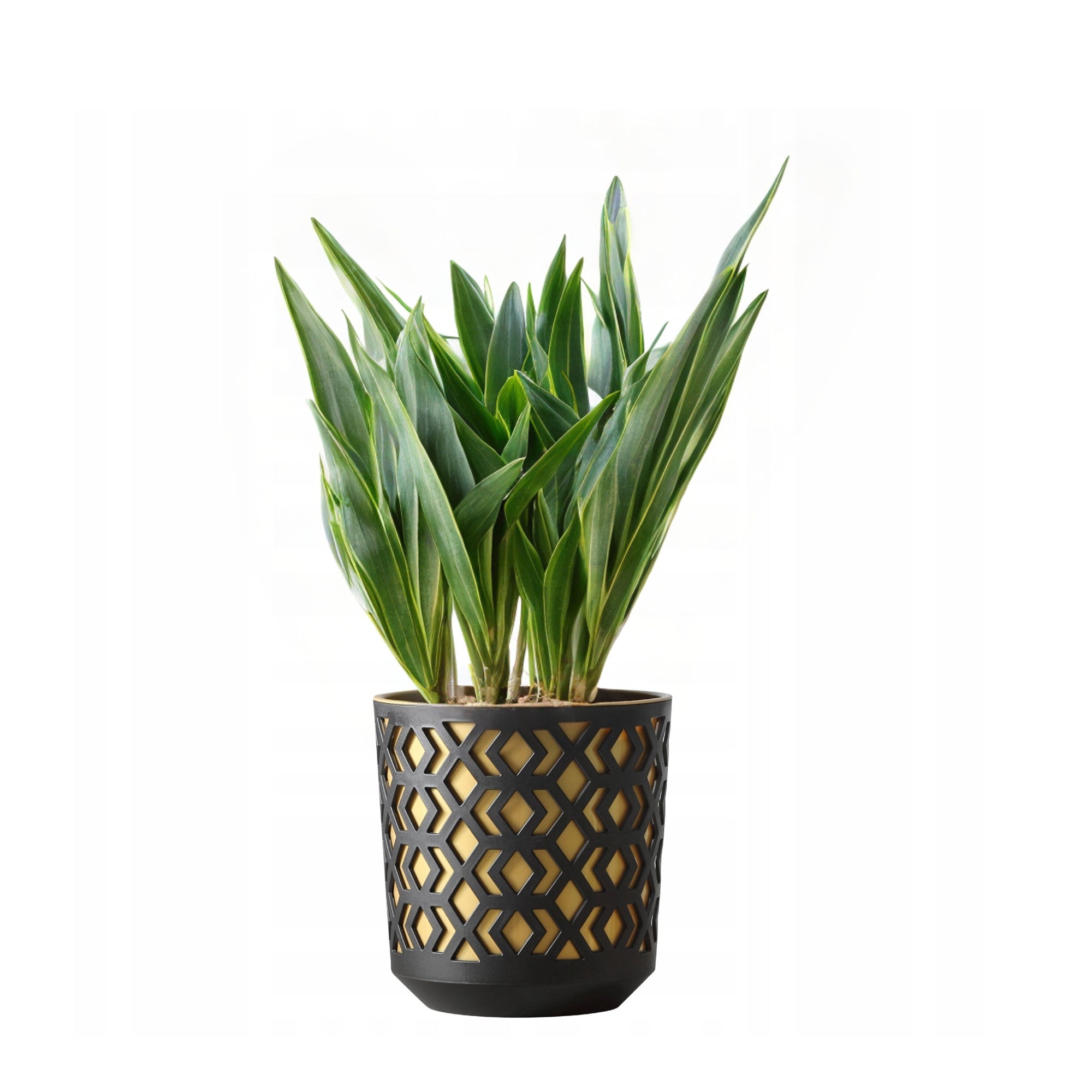 AZTEK flowerpot 14 h15 BLACK, gold insert Manufacturer code LA790-49
