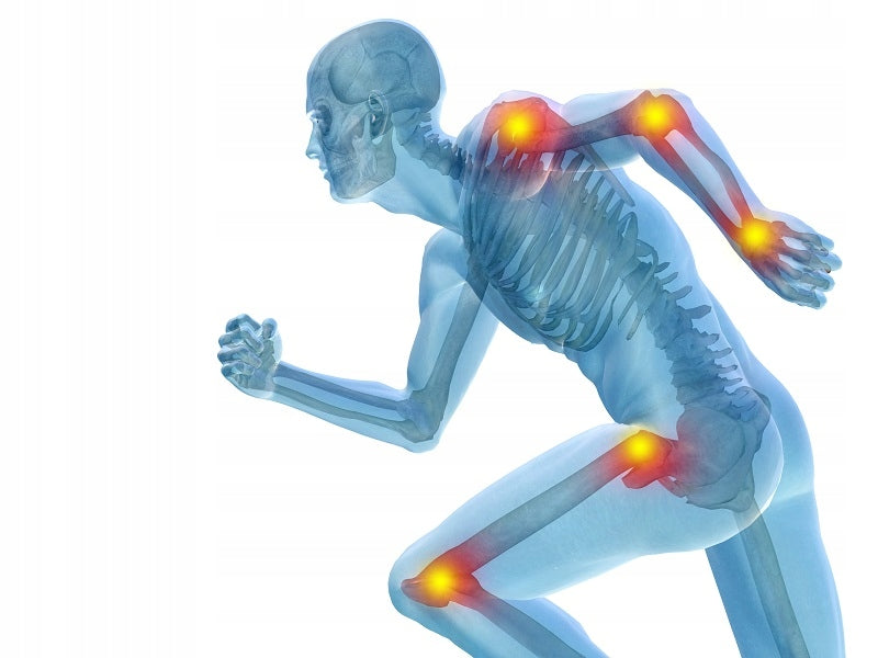 Activlab ArtrON Activ glucosamine sulfate for joints bone pain 30 sachets Manufacturer code FR/475