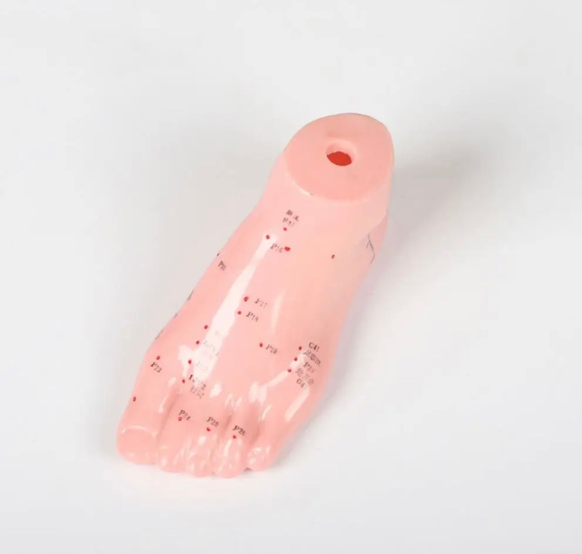 Acupuncture model foot 15 cm Brand no brand