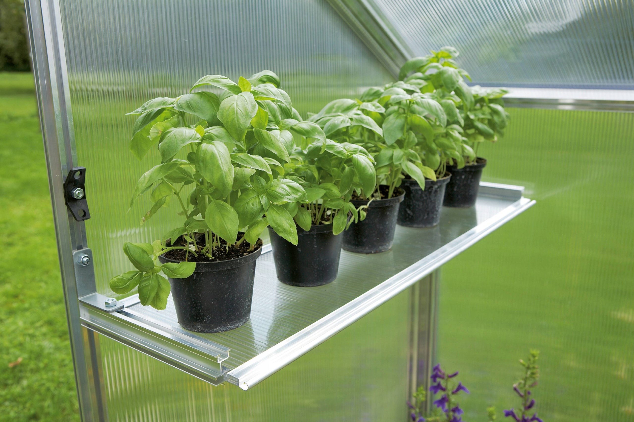 Additional shelf for greenhouse Gutta Manufacturer Gutta