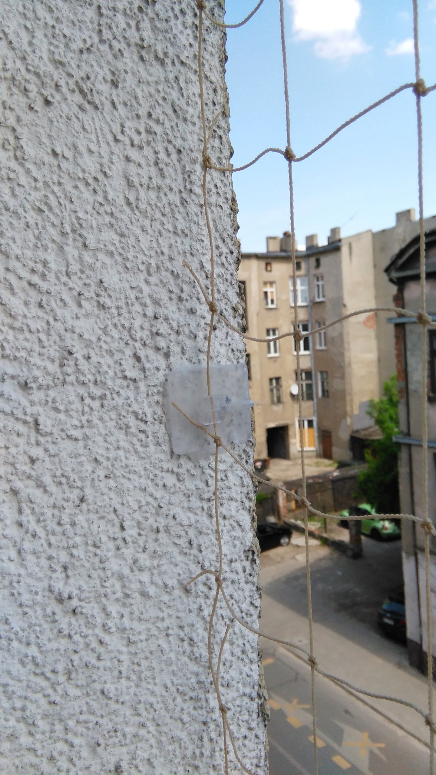 Adhesive for spikes birds repellent 80ml antityptak wwa Kind other