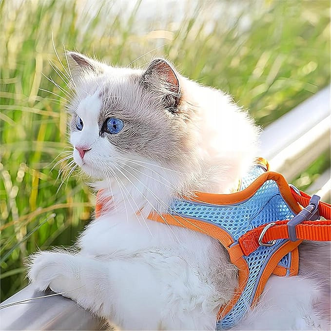 Adjustable Dog Harness with Breathable Mesh and Reflective Straps Brand no brand