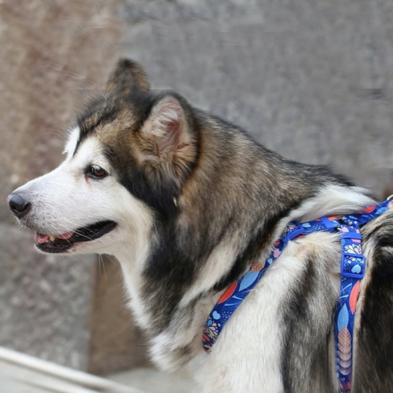 Adjustable Dog Walking Harness Plant Vibes L Brand Everking