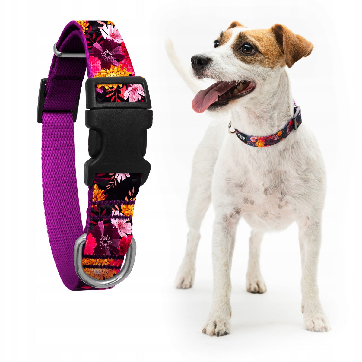 Adjustable collar for medium dog Marigold Chaba flowers, pink - size M