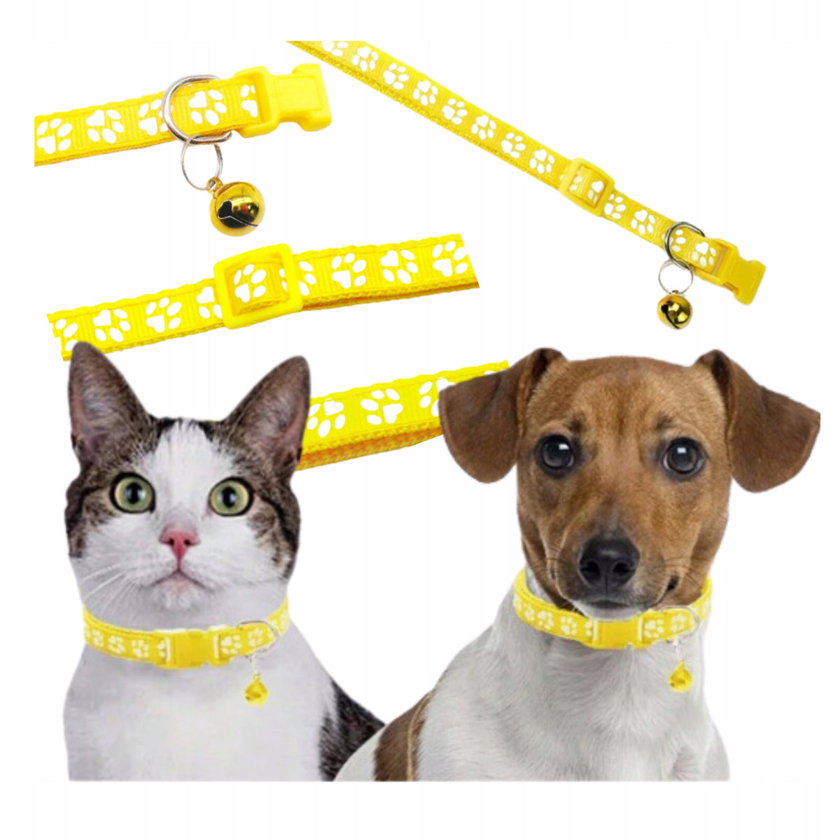 Adjustable collar with bell for CAT DOG YORK MALTESE 33Ż