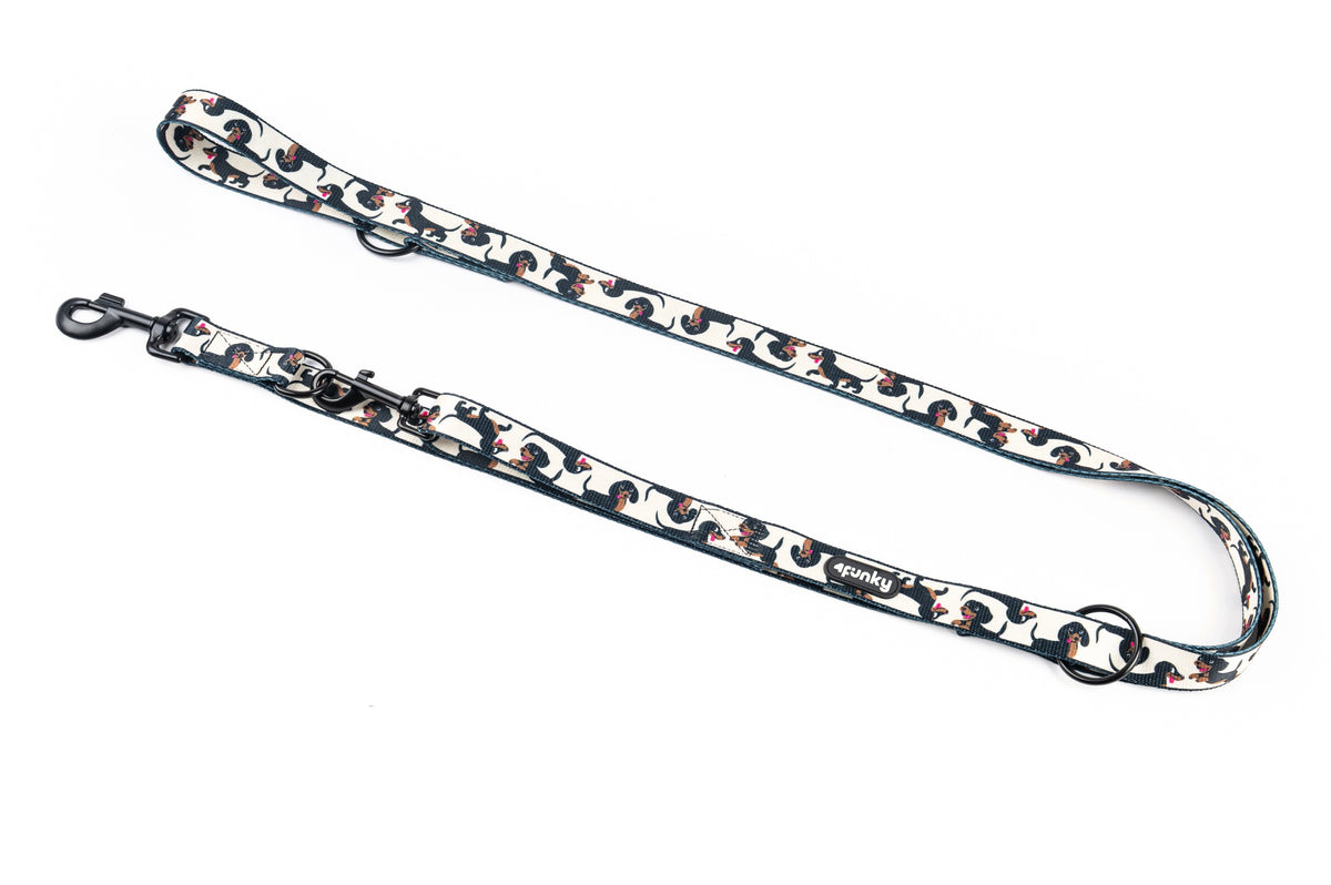Adjustable leash for dog | 4Funky | Doxie pattern Dachshunds 2,5cm/3m Manufacturer code 662710