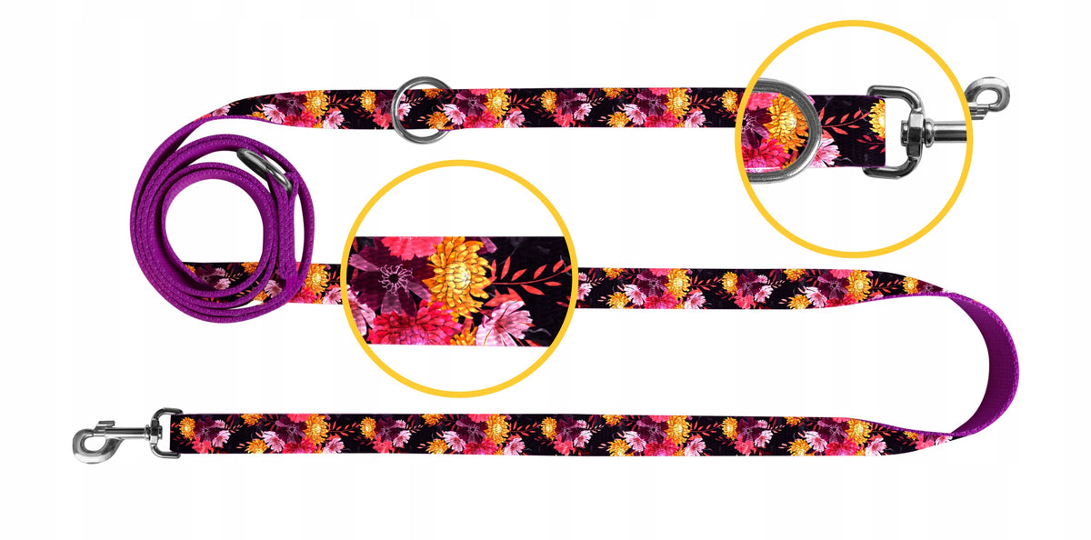 Adjustable leash for small dog 260 cm - Chaba MARIGOLD size. S Brand Chaba