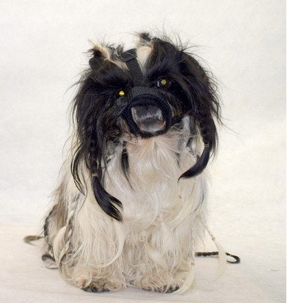 Adjustable muzzle for brachycephalic breeds M Manufacturer code 5907548625410