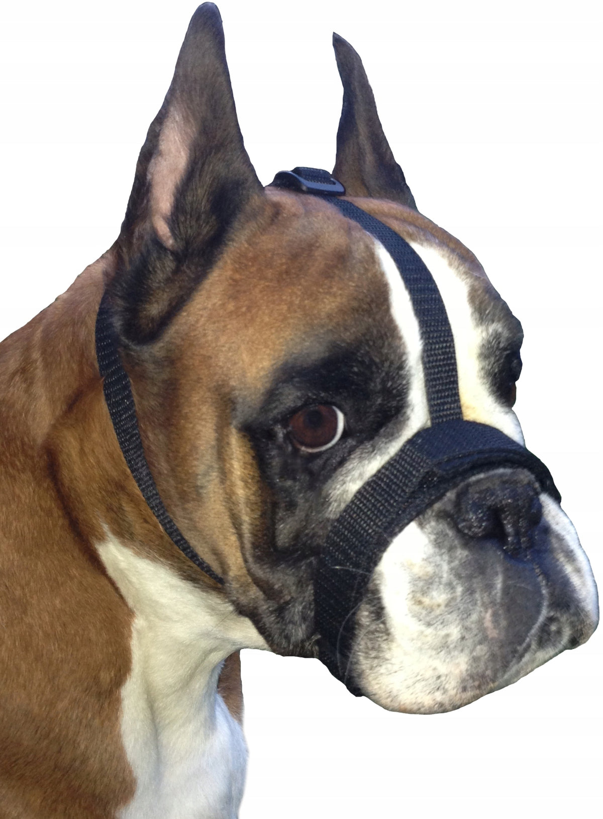 Adjustable muzzle for brachycephalic breeds M