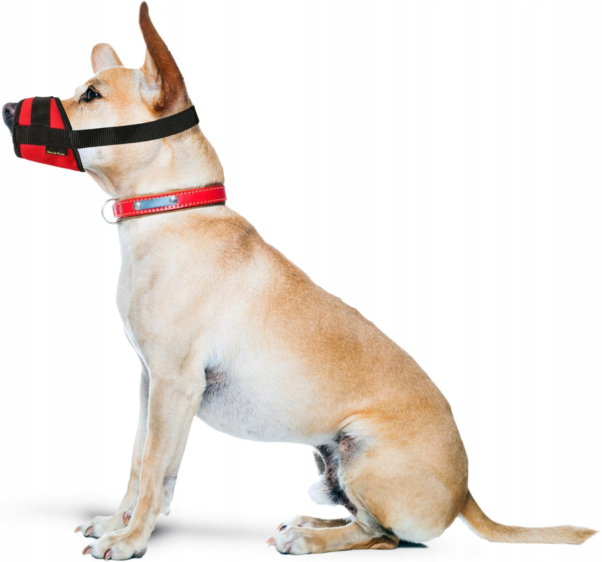 Adjustable muzzle for dog - L