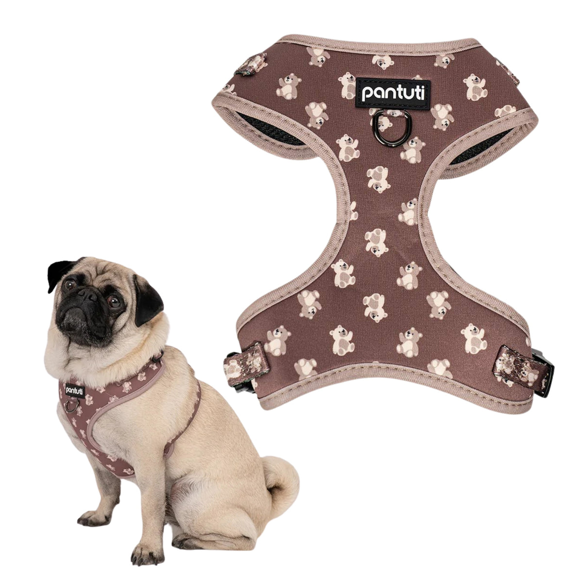 Adjustable pressure-free panel harness for dog in KIDO XS bowl