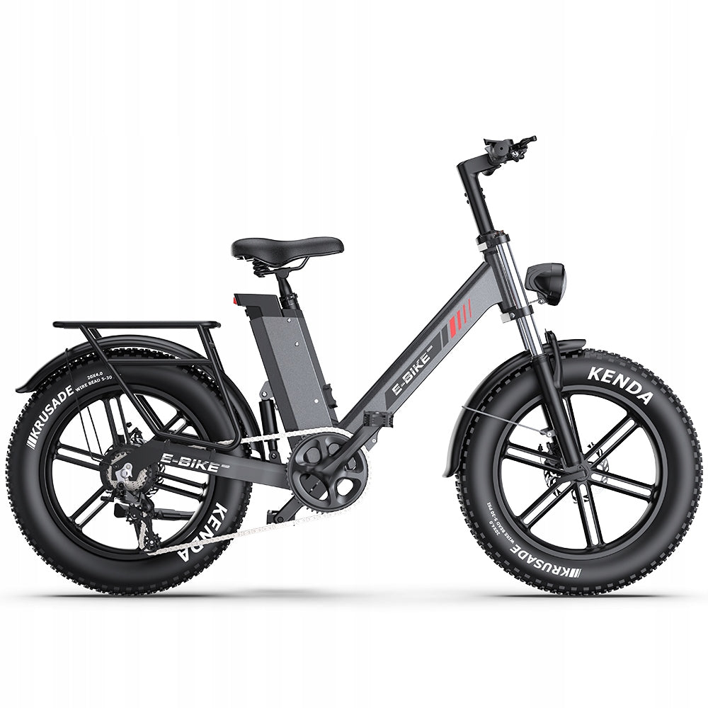 Adult Electric Bikes C6PRO 250W LG 48V 17.5AH 100km 20*4.0" APP Brand Aairsk