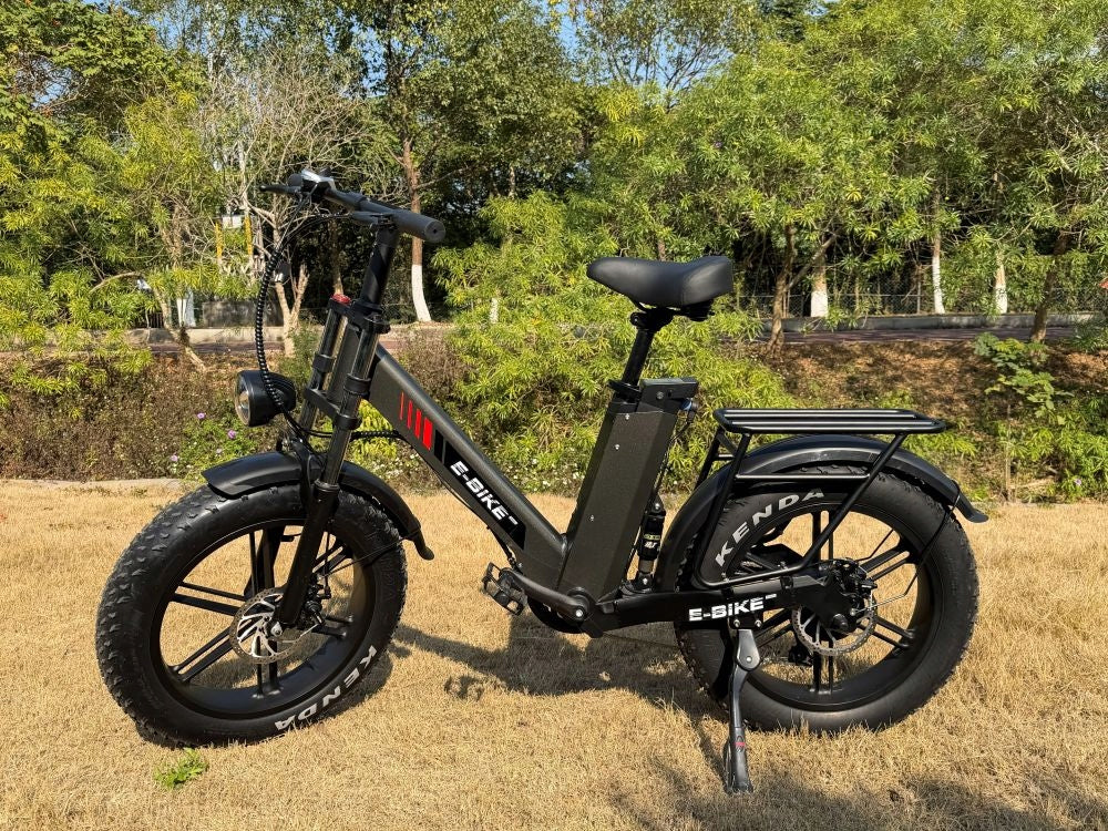 Adult Electric Bikes C6PRO 250W LG 48V 17.5AH 100km 20*4.0" APP Frame size L