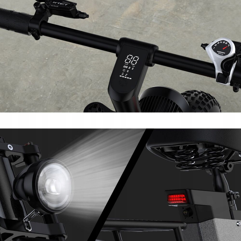 Adult Electric Bikes C6PRO 250W LG 48V 17.5AH 100km 20*4.0" APP Maximum rated power electric bike (under 250W)