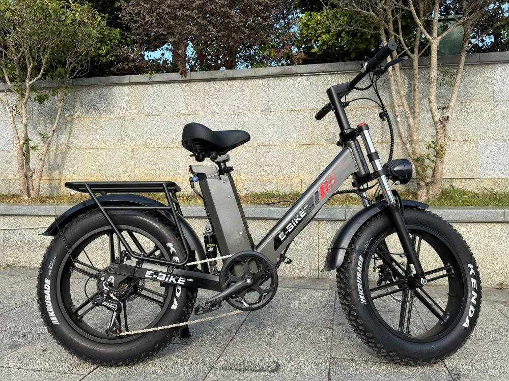 Adult Electric Bikes C6PRO 250W LG 48V 17.5AH 100km 20*4.0" APP Model C6 PRO 2.0 250W 100KM 17.5Ah