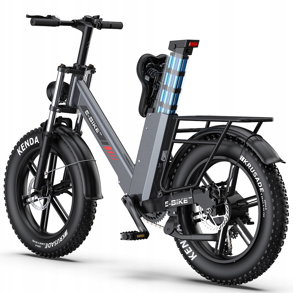 Adult Electric Bikes C6PRO 250W LG 48V 17.5AH 100km 20*4.0" APP Packaging status original