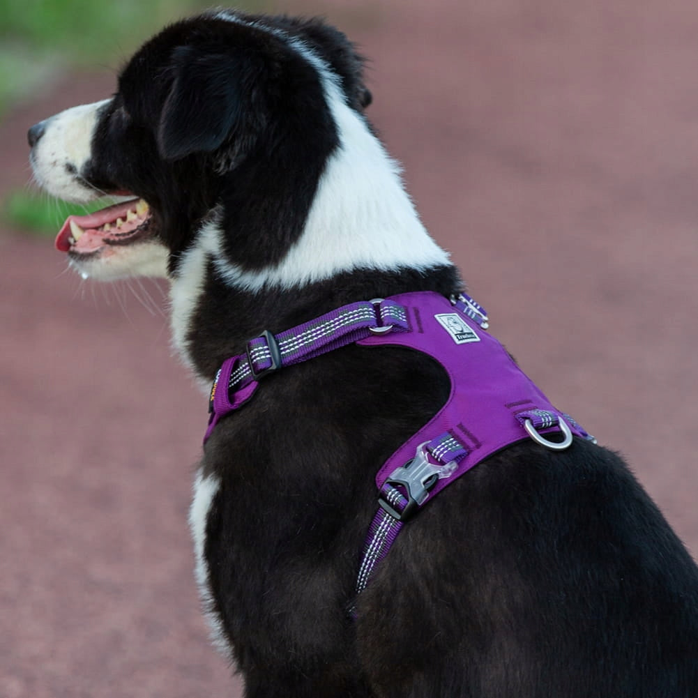 Adventure Dog Harness Truelove L Dog size big dog