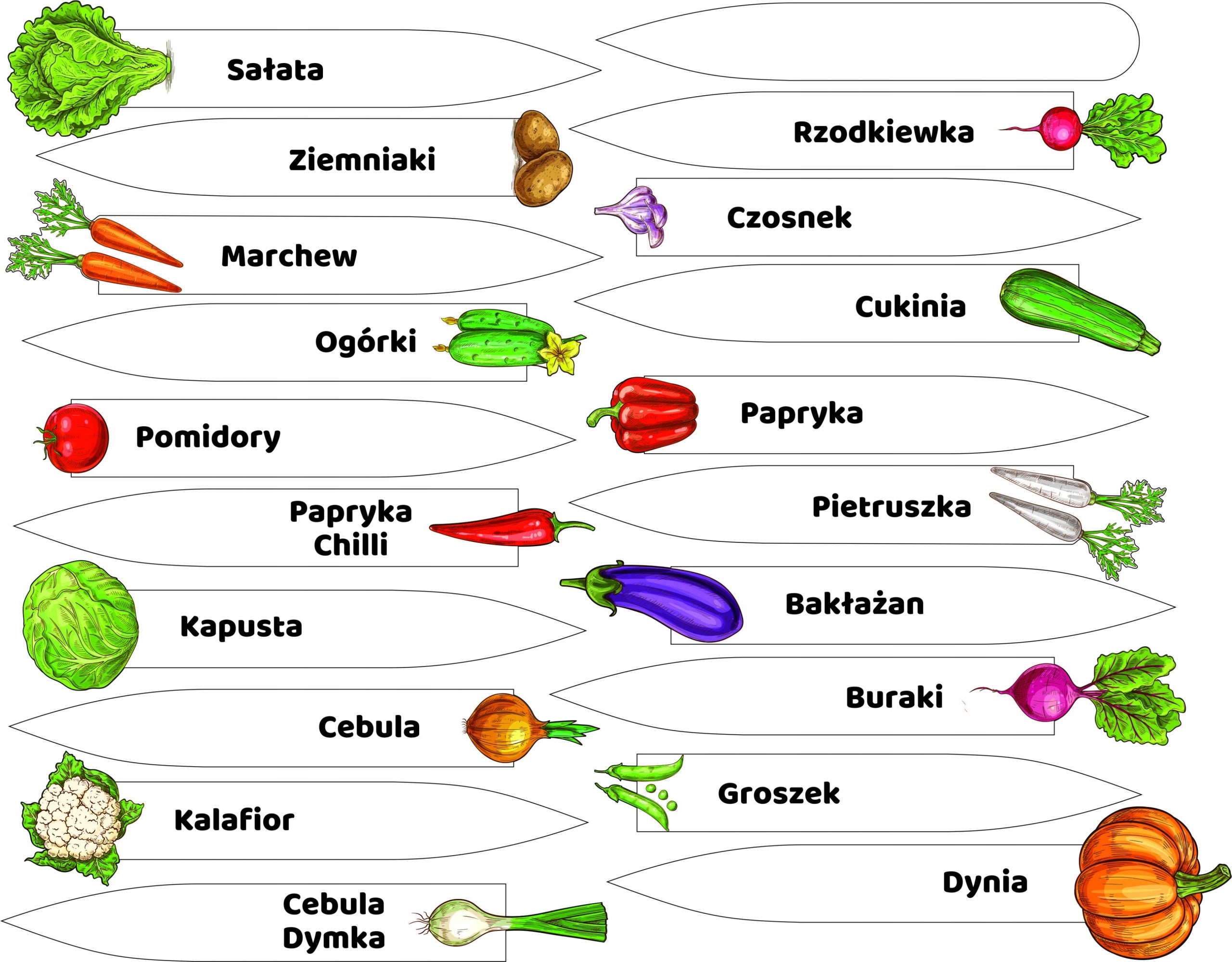 Aesthetic Label Garden Vegetable Plant Marker 20 Pieces