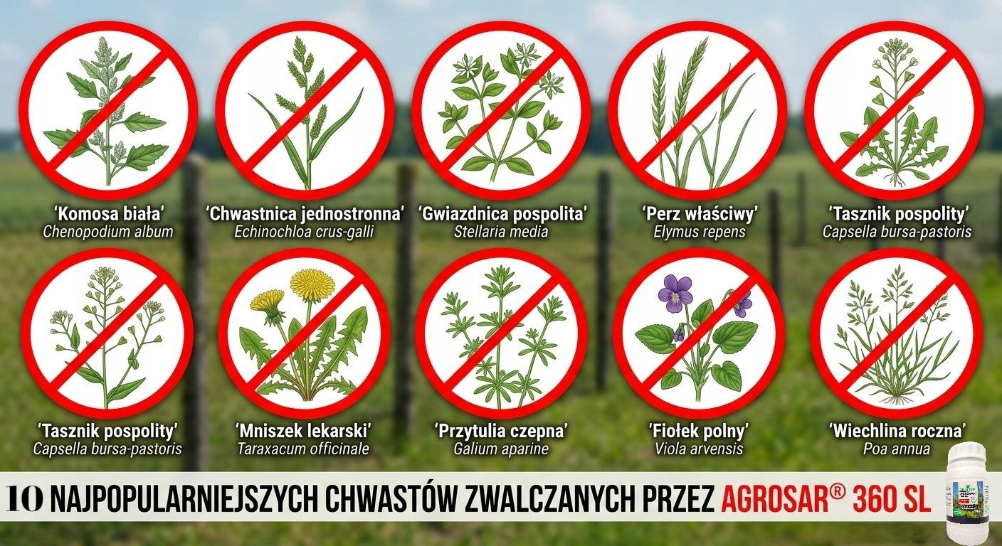 Agrosar 360 SL For Weed Herbicide Glyphosate 2x100ml WITHOUT CERTIFICATE Agent type multicomponent