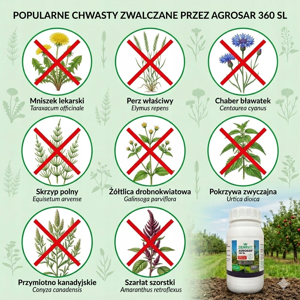 Agrosar 360 SL For Weed Herbicide Glyphosate 3x100ml WITHOUT CERTIFICATE Packaging status original