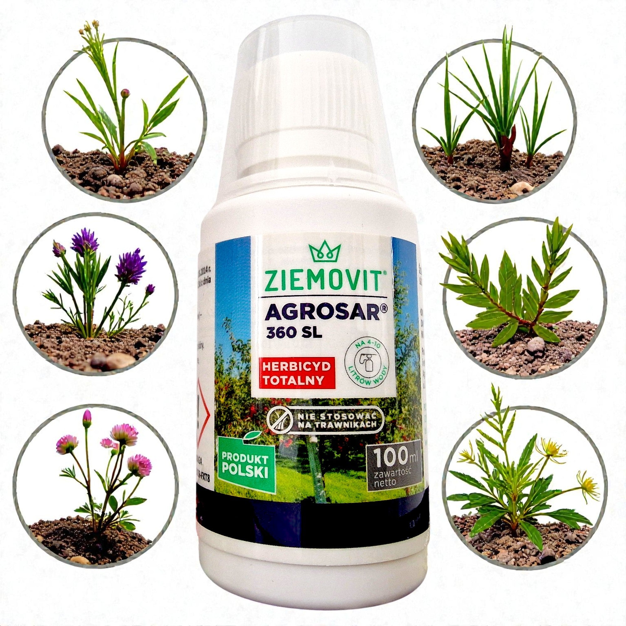 Agrosar 360 SL For Weeds Total Herbicide Glyphosate 100ml WITHOUT CERTIFICATE