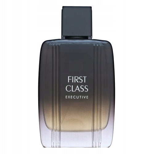 Aigner First Class Executive toaletní voda pro muže 100 ml