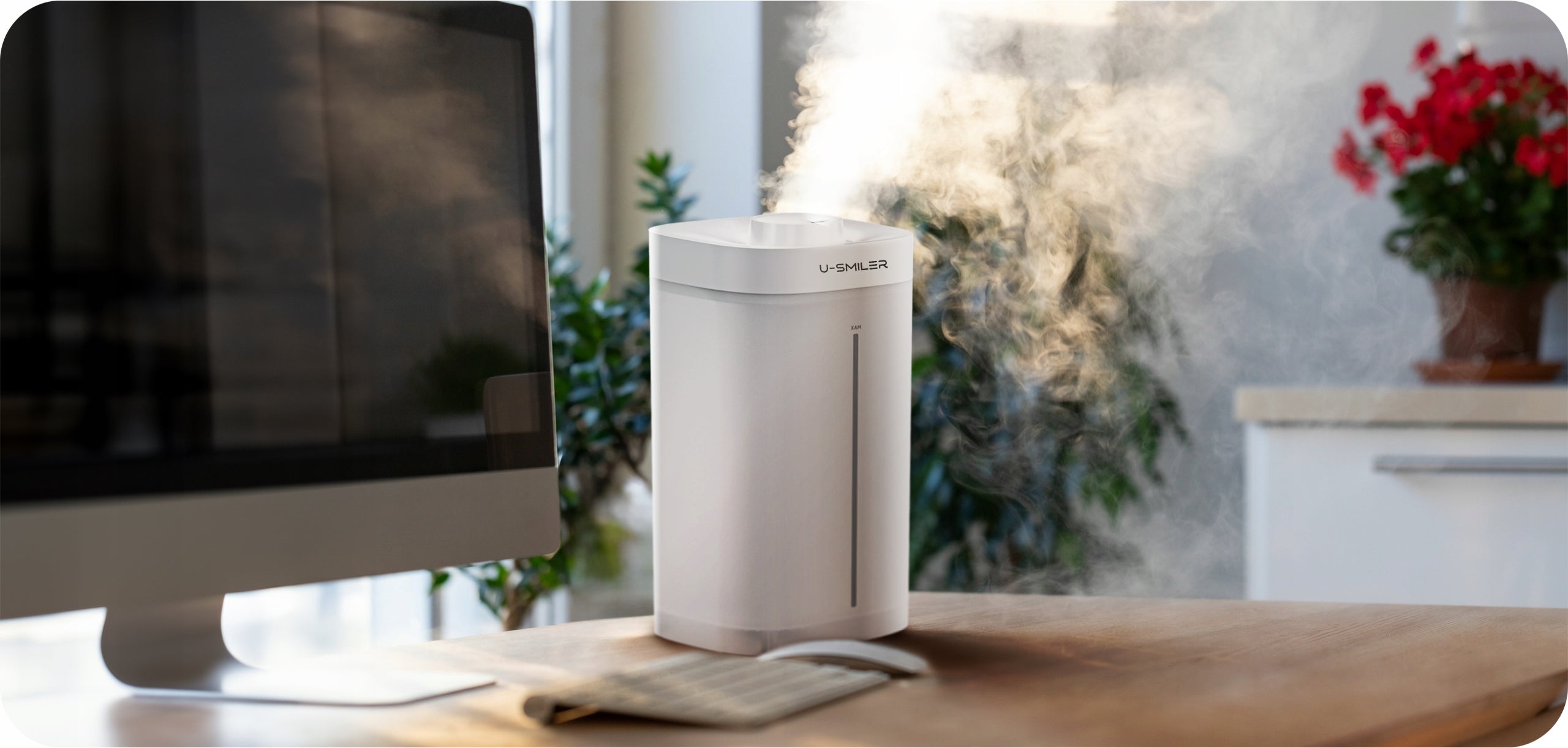 Air Humidifier Ultrasonic Diffuser IONIZER Aromatherapy QUIET 3.5 Dominant color white