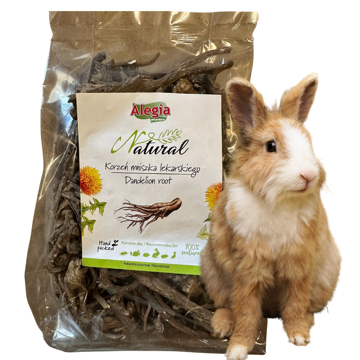 Alegia Dandelion Root Treats Teethers 100g