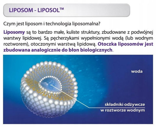 Aliness Liposol Liposomal vitamin C buffered 1000mg RESISTANCE 40 sachets Packaging status original