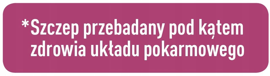 Aliness ProbioBALANCE Lactobacillus plantarum LP01 10 billion 30 vege kaps Brand Medicaline