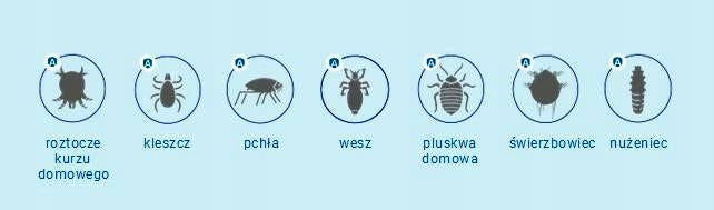Allergoff Wash Concentrate - Scabies lice Manufacturer code 5904215273622
