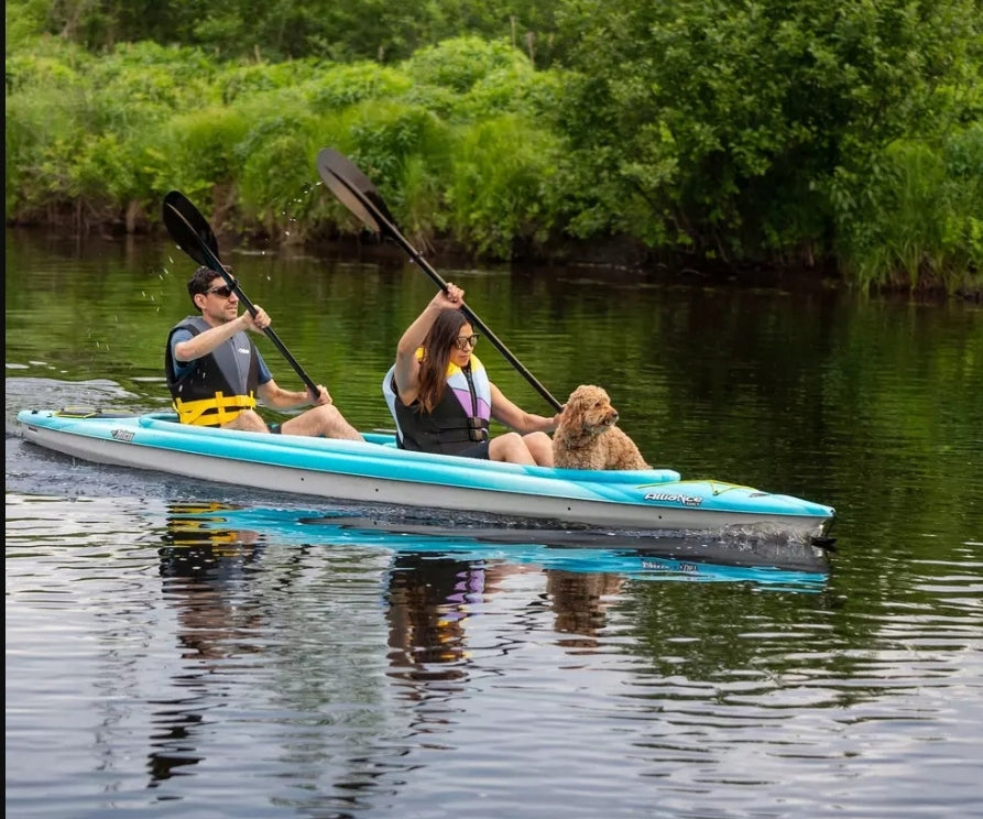 Alliance 136 T Tandem Turquoise/White Hiking Kayak by Pelican Model Alliance 136T