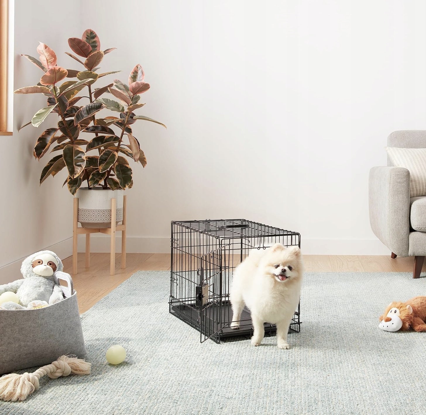 Amazon Basics Folding Metal Dog Cage Small Dogs 56x33x41 cm Black Trade name Amazon Basics Składana Metalowa Klatka dla Psa Małe psy 56x33x41 cm Czarny