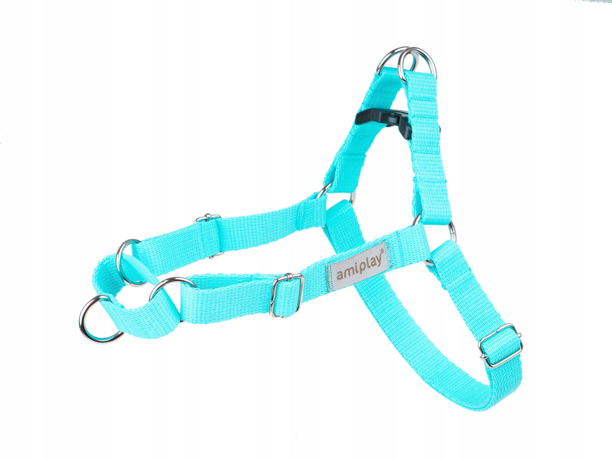 AmiPlay - Easy Go Training Harness - SAMBA - TURQUOISE - XL